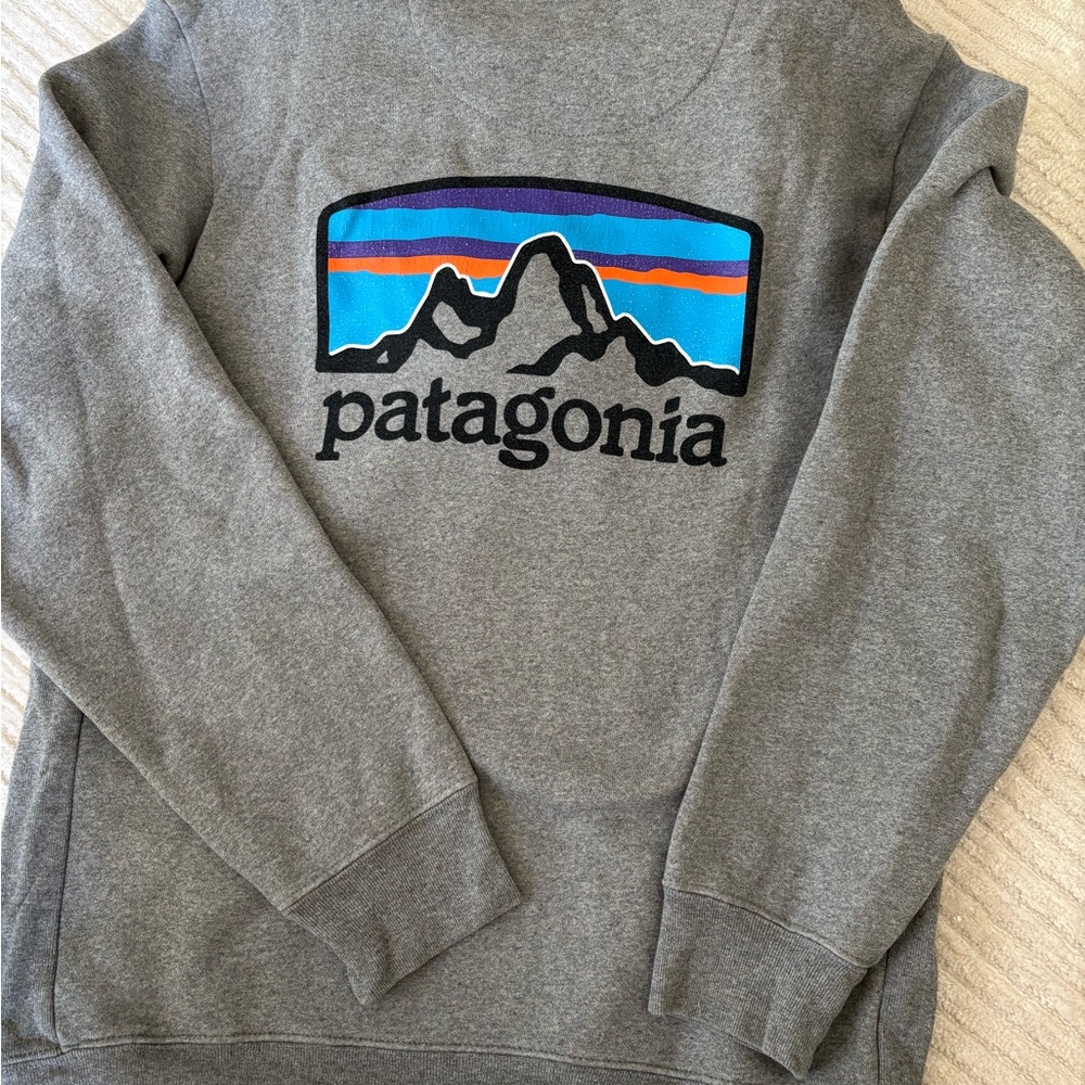 Patagonia Gray Men's Hoodie